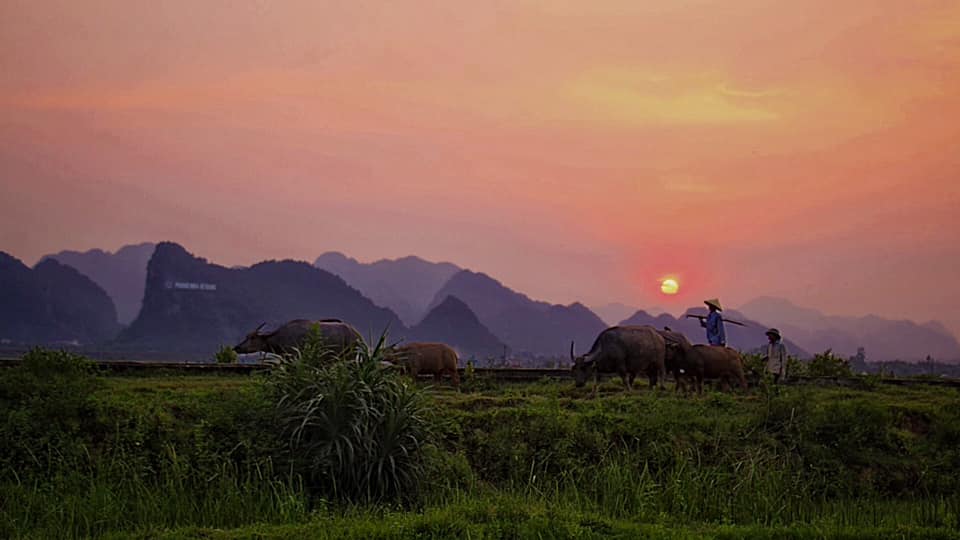 Dat Lam Farm Phong Nha Dat Lam Farm Phong Nha