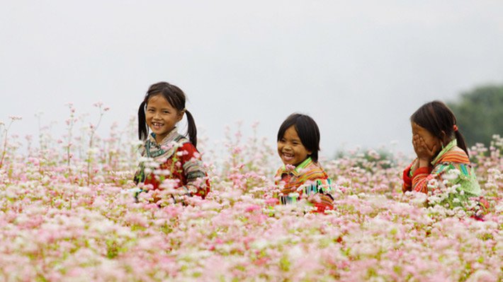 ivivu-tour-mie-n-ba-c-3n2d-ha-giang-meo-vac-dong-van-lung-cu-tam-giac-mach